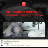 XỬ LÝ NGHIÊM TÌNH TRẠNG GĂM HÀNG, TRỤC LỢI SAU BÃO